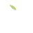 Peach Lasers